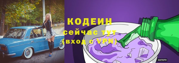 ECSTASY Гусь-Хрустальный