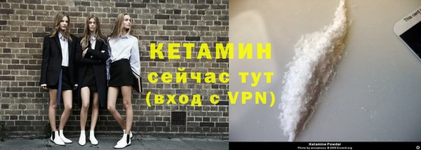 ECSTASY Гусь-Хрустальный