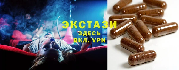 ECSTASY Гусь-Хрустальный