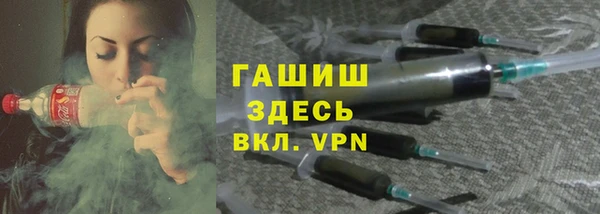 ECSTASY Гусь-Хрустальный