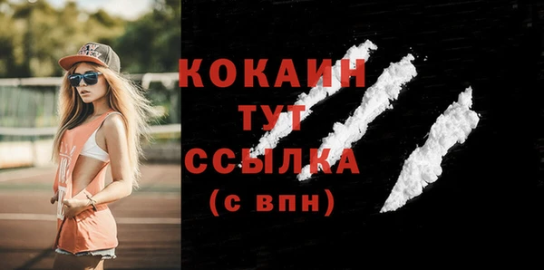 ECSTASY Гусь-Хрустальный