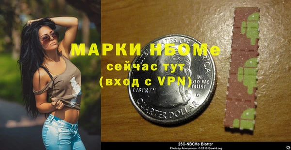 прущие грибы Дмитриев