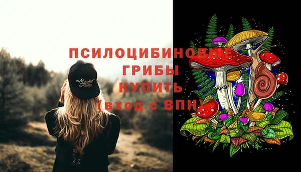 ECSTASY Гусь-Хрустальный