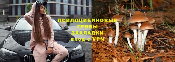 марки lsd Гусев