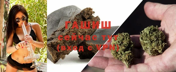 ECSTASY Гусь-Хрустальный