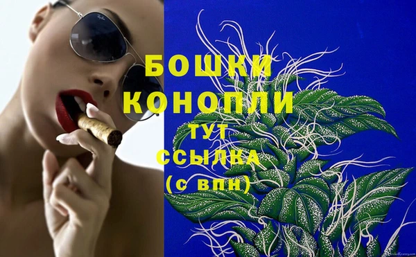 соль ск Гусиноозёрск