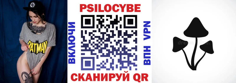Галлюциногенные грибы Magic Shrooms  Купить закладки  Ковылкино 